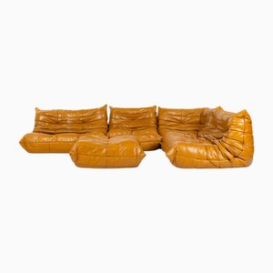 Canapé Togo Vintage Modulaire en Cuir Marron par Michel Ducaroy pour Ligne Roset, France, 1970s, Set de 5