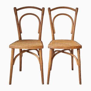 Sedie nr. 114 di Thonet, inizio XX secolo, set di 2
