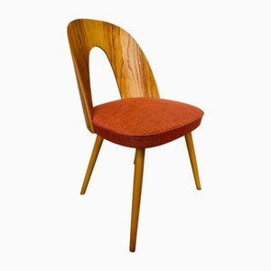Chaise de Salle à Manger Mid-Century de Antonin Suman, Tchécoslovaquie, 1960s