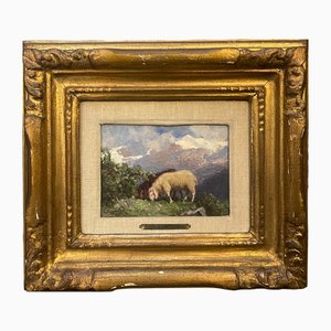 Ercole Garavaglia, Mouton au Pâturage, 1890s, Huile sur Panneau, Encadré