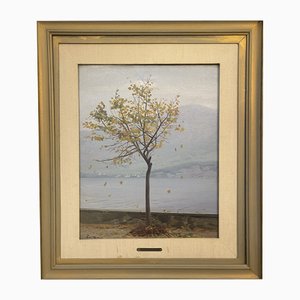 Giuseppe Didone, Lake Landscape, 1950s, Huile sur Panneau, Encadré