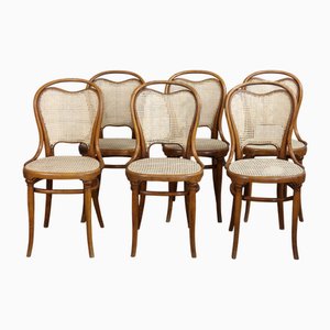 Stühle von Michael Thonet für Gebrüder Thonet Vienna GmbH, 1890er, 6er Set