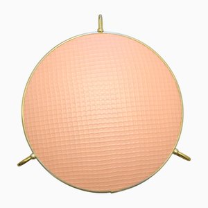 Mid-Century Modern Sconce from Erco, 1950s