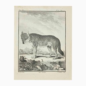 Jean Charles Baquoy, Le Loup, 1771, Etching