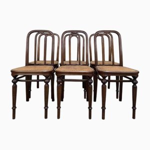 Sedie da bistrò in canna di Thonet, set di 6