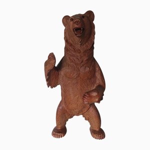 Orso grande della Foresta Nera di Brienzer, Svizzera, 1979