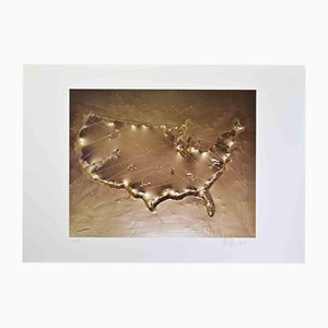 Aldo Palma, Revisiting the US, 2018, Screenprint