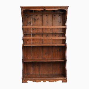 Antique Bookcase with Weathered Patina, 1800s