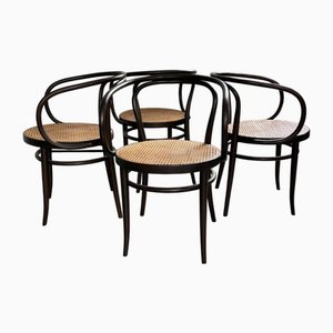 Vintage No. 209 Chairs by Michael Thonet for Thonet, 1978, Set of 4