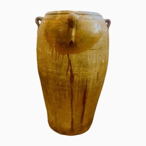 Oliva grande smaltata gialla, Spagna, fine XIX secolo