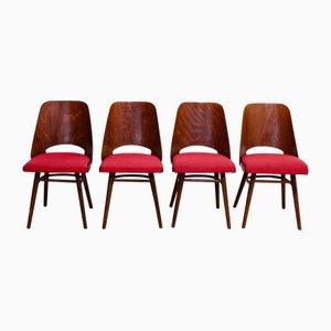 Dining Chairs from Radomír Hofman, 1960s, Set of 4