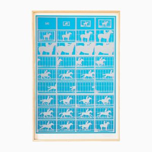 Pierre Cordier, Homenaje a Muybridge, años 90, Serigrafía, Enmarcado