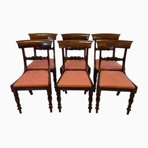 Antique William IV Mahogany Dining Chairs, 1835, Set of 6