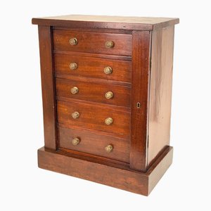 Mahogany Children's Wellington Chest, 1860s