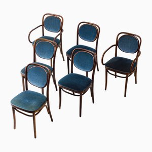 Sedie in legno curvato e velluto blu attribuite a Josef Hoffman per Thonet, anni '60, set di 6