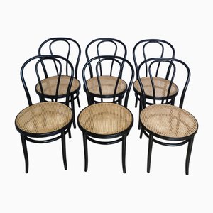 Vintage Thonet Style Dining Chairs in Black Bentwood, 1970s, Set of 6