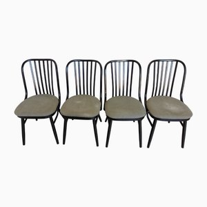 Sedie da pranzo vintage in legno curvato, anni '80, set di 4