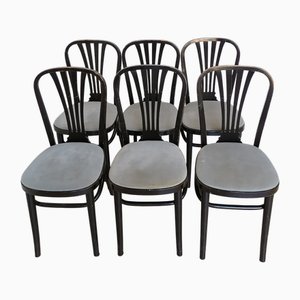 Vintage Dining Chairs in Black Wood and Gray Fabric from STOL Kamnik, 1970s, Set of 6