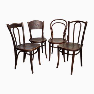 Bugholz Stühle 1890er, 4 . Set