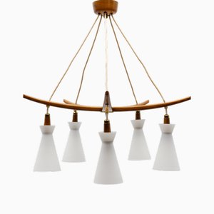 Lámpara de techo Sputnik de 6 luces de teca, latón y vidrio, años 50