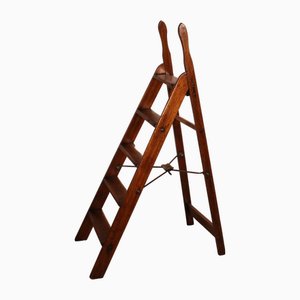 19th Century Mahogany Library Ladder, 1890s