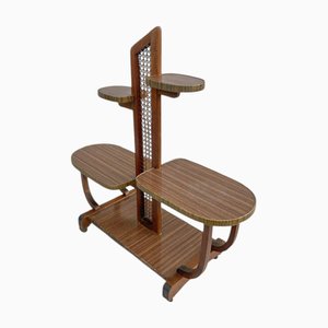 Soporte para plantas móvil vintage de caña y madera con estantes, años 60