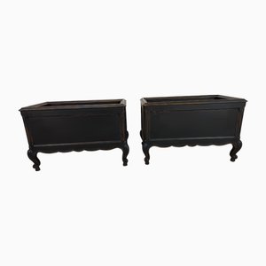 Louis XV Style Black Planters, 1950s, Set of 2