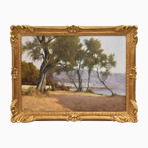 Emilio Filippini, Seascape and Olive Trees, 20th Century, Oil on Canvas
