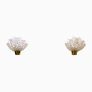 Swedish Coquille Sea Shell Wall Sconces from Asea, Late 1930s, Set of 2