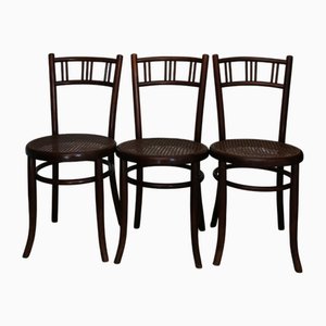 Bugholz Rattan Geflecht Stühle von Fischel, Frühes 20. Jh., 3er Set
