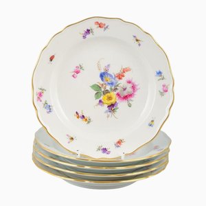 Platos de porcelana con motivos florales pintados a mano de Meissen. Juego de 5