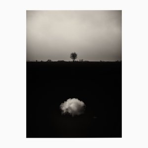 Lámina fotográfica Jaume Llorens Bach, Gaia Diptych # 6, Monocromo