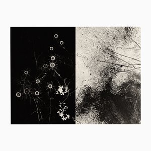 Jaume Llorens Bach, Gaia Diptychon #4, Monochrom Fotodruck