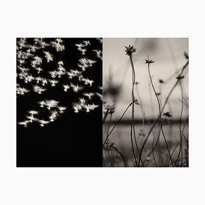 Jaume Llorens Bach, Gaia Diptych #8, Stampa fotografica monocromatica