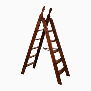 Library Ladder, 19th Century