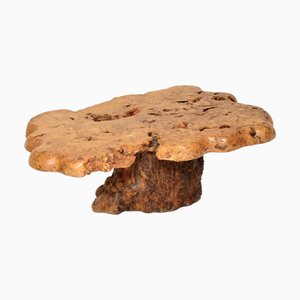 Vintage French Burr Walnut Tree Trunk Coffee Table, 1970s