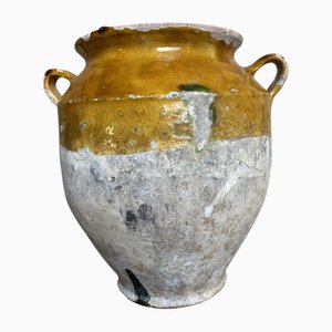 Confit antico in smalto senape, Francia, fine XIX secolo