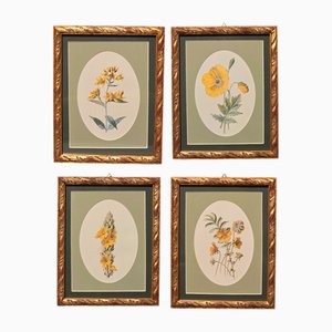 Frederick Edward Hulme, Flowers, 1909, Artworks on Paper, Framed, Set of 4