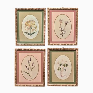 Frederick Edward Hulme, Flowers, 1909, Artworks on Paper, Framed, Set of 4