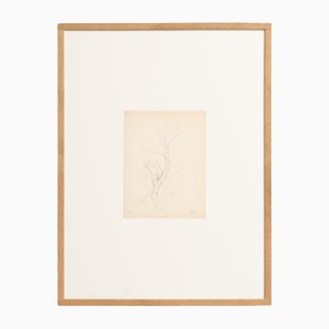 Dora Maar, Pointillistische Komposition, 1960er, Tinte auf Papier, gerahmt