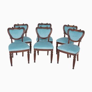 Sedie da pranzo William IV in mogano con gambe Gillows, set di 6