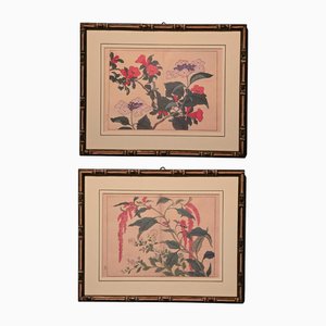 Suzuki Sonoichi and Nakano Sonoaki after Sakai Hoitsu, Flowers, 1950s, Prints, Framed, Set of 2