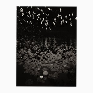 Jaume Llorens Bach, Gaia Diptychon #19, Monochrom Fotodruck