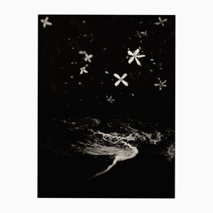 Jaume Llorens Bach, Gaia Diptychon #23, Monochromer Fotodruck