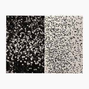 Jaume Llorens Bach, Gaia Diptychon #31, Monochromer Fotodruck