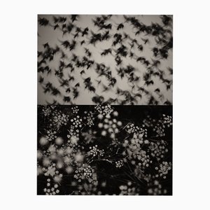 Jaume Llorens Bach, Gaia Diptych #45, Monochrome Photographic Print