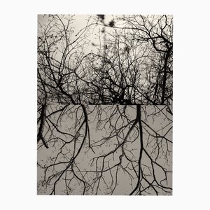 Jaume Llorens Bach, Gaia Diptych #48, Monochrome Photographic Print