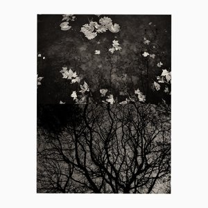 Jaume Llorens Bach, Gaia Diptychon #58, Monochrom Fotodruck