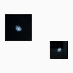 Andrea Santarlasci, Reverse of the Sky, 2002, Photographic Prints, Set of 2