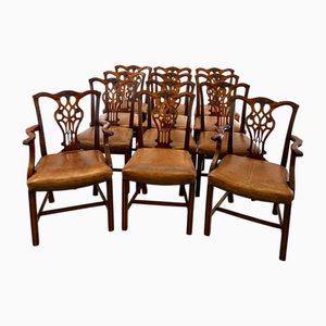 Sedie da pranzo Chippendale antiche in mogano, metà XIX secolo, set di 12